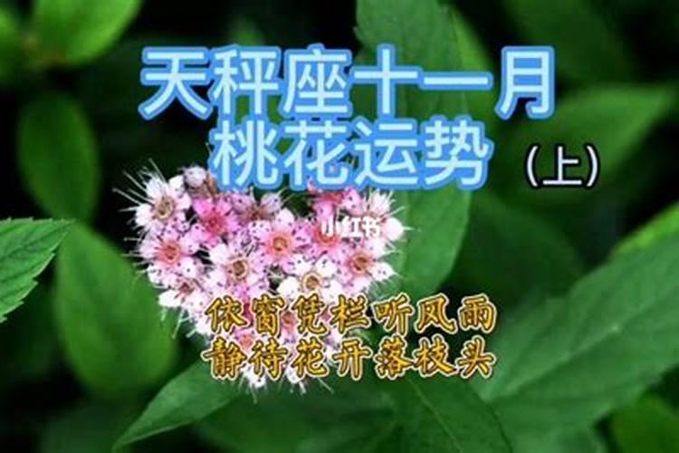 天秤座9月份桃花运势如何