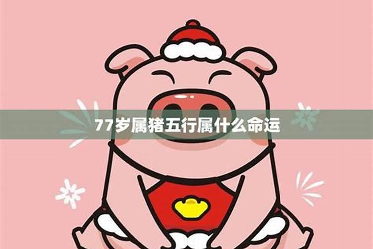 二十五岁属猪今年婚姻怎么样