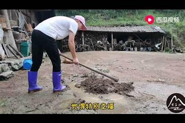 梦见别人家院子里有水