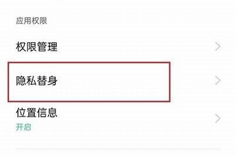 隐私替身怎么关闭