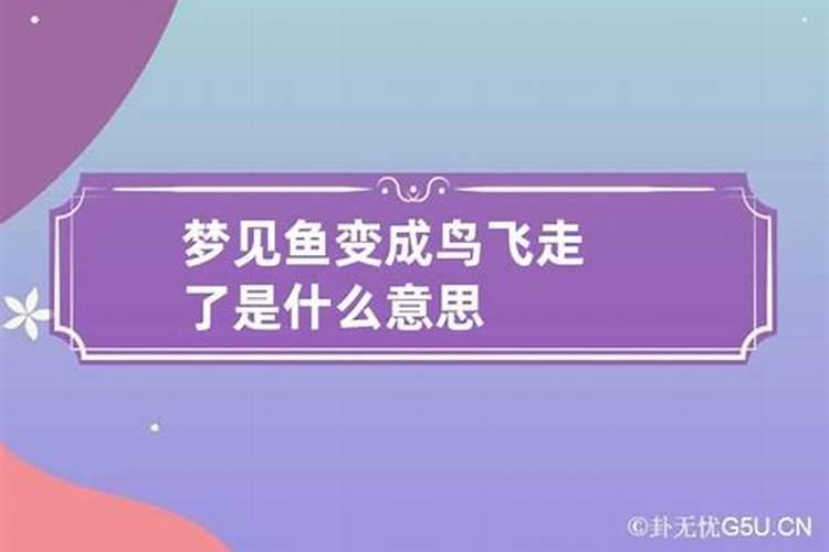 女人梦见鱼会飞啥意思周公解梦