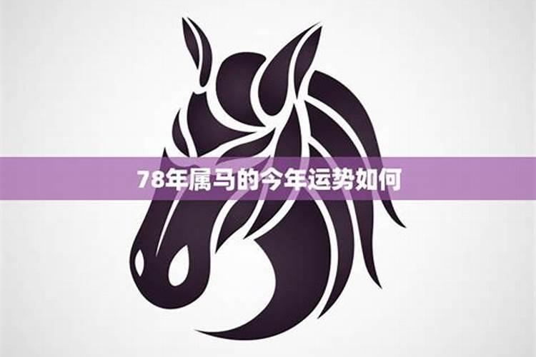 属马的今年运势和财运怎么样2021