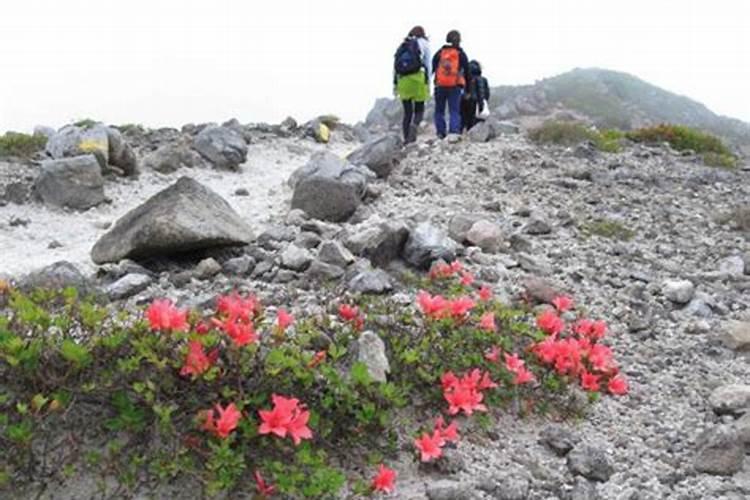 梦见和爱人上山什么意思周公解梦