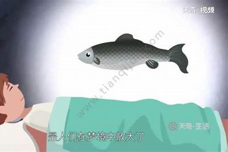 梦见大鱼搁浅是什么意思