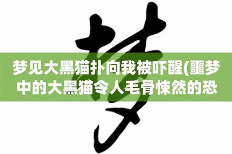 2023属马流年害太岁会怎样