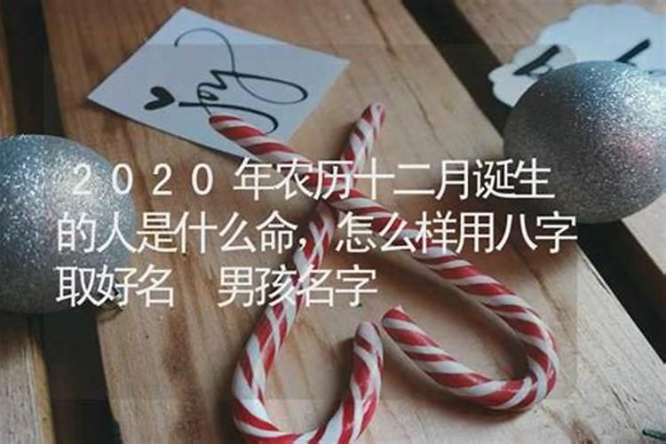 2020年农历12月属相