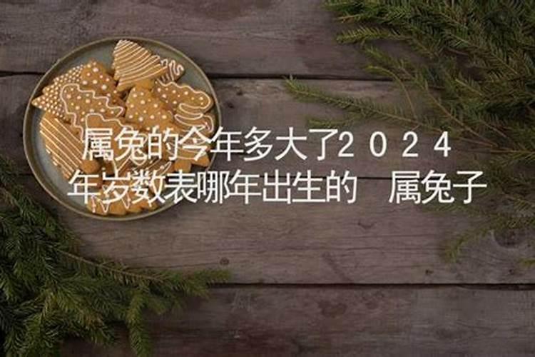 请问属兔的今年多大岁数了