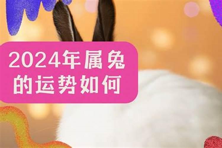 属猪的2021年农历3月运势如何