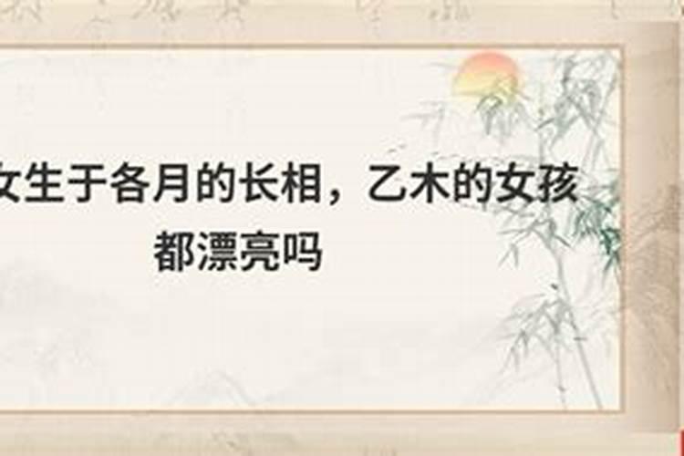 乙木女人最会攀附的属相