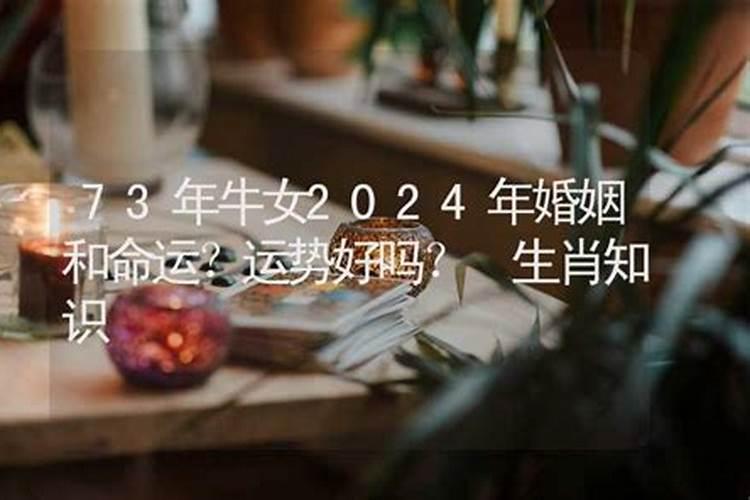 2020年立冬生男宝宝是什么命