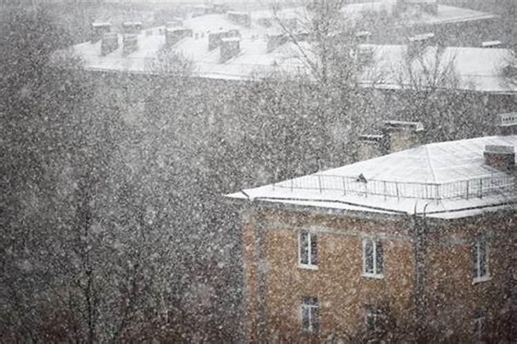 梦见大晴天下雪是什么征兆