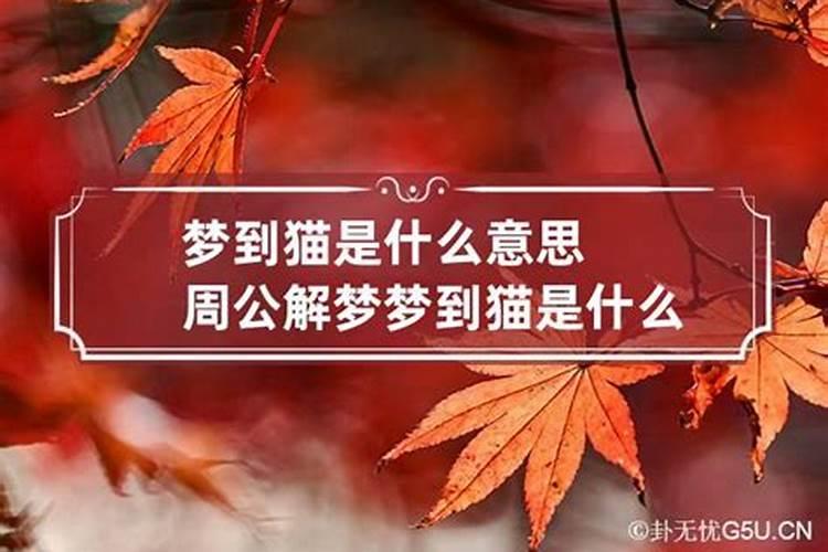 梦里出现大海什么意思啊周公解梦