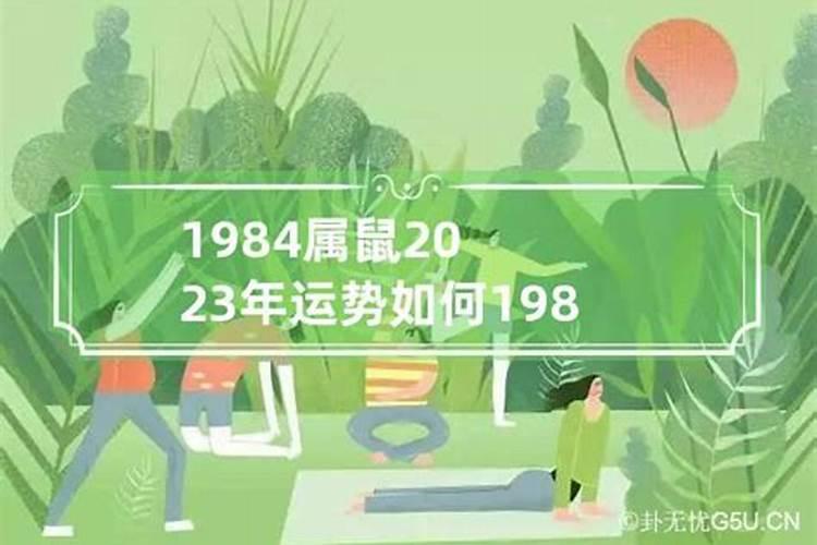 1984年2023年运势