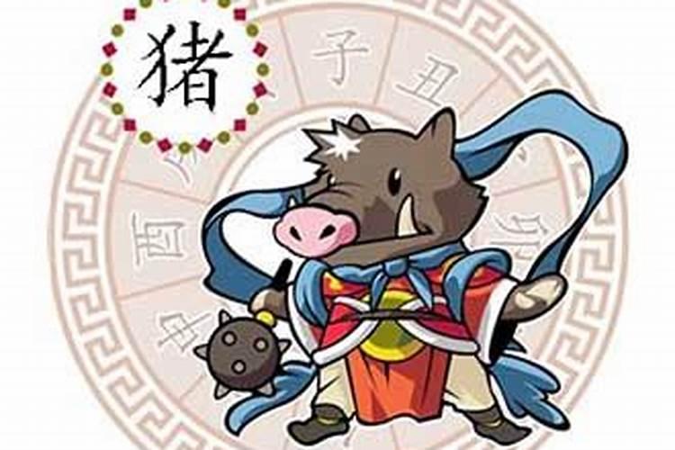 属猪今年运势及财运