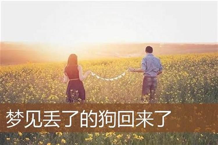 女人梦见自己丢的狗又回来了