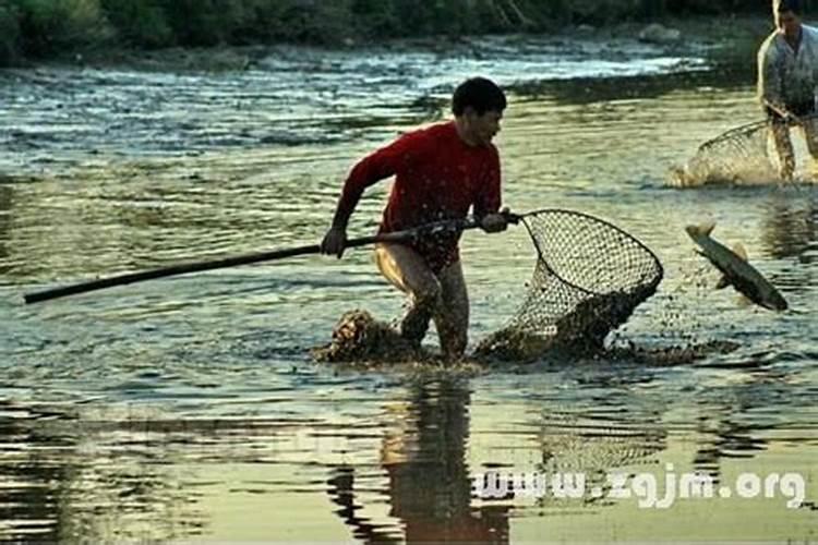 梦到逮鱼是什么征兆男性解梦