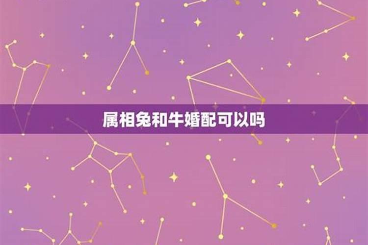 梦见故去多年的母亲什么意思呀