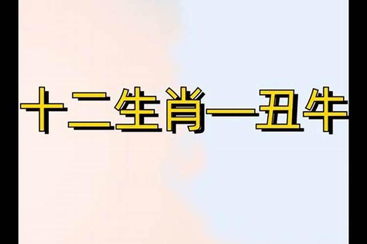 1991羊女和1997牛男一生婚姻