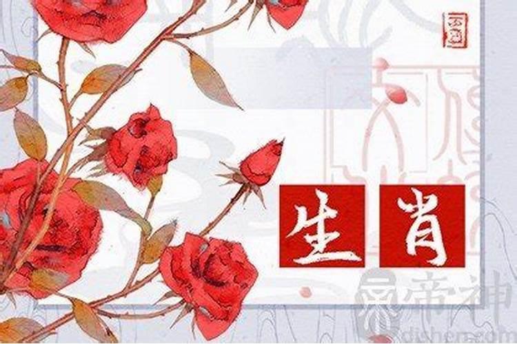 属马牛年好不好