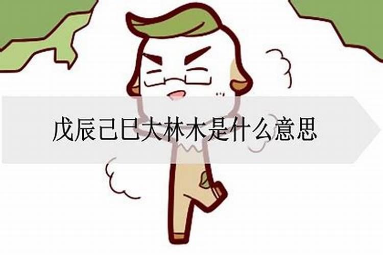 大林木都是属什么的