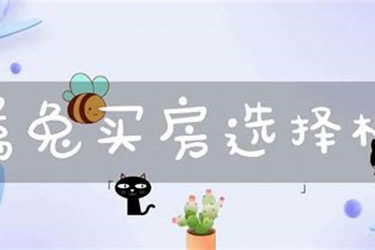 属兔女买房吉利数字