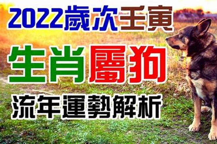 生肖狗2022年感情运势及运程