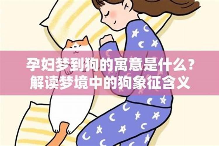 孕妇梦到狗是什么寓意是什么