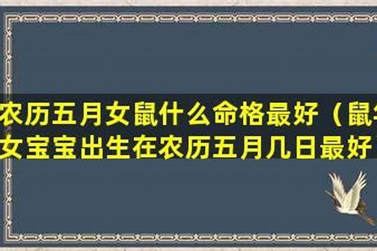 农历五月出生的属鼠人命运怎么样