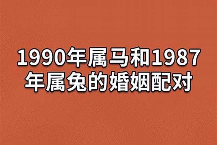 1987年和1990年的姻缘