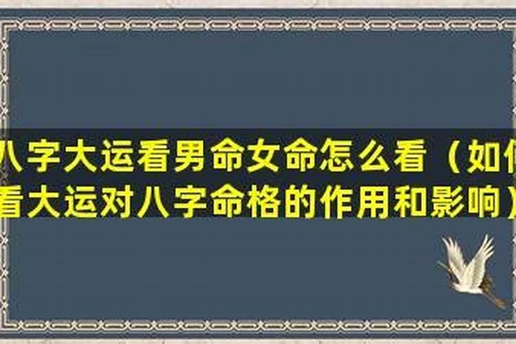 梦见蛇进屋代表什么预兆