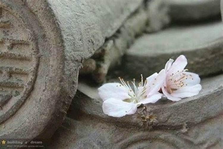 端午节祭日吗