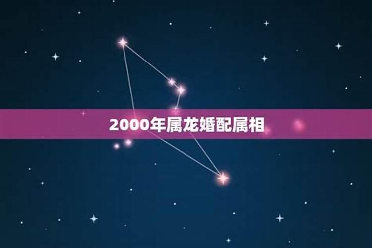 2000年属龙的女生和什么属相最配婚