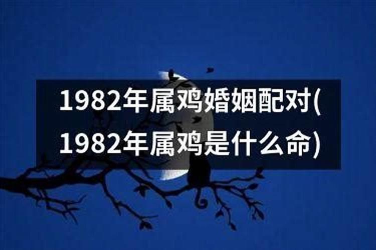 1982年属鸡吗