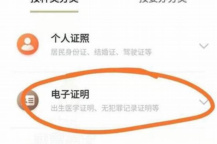 涉外婚姻生育金领取