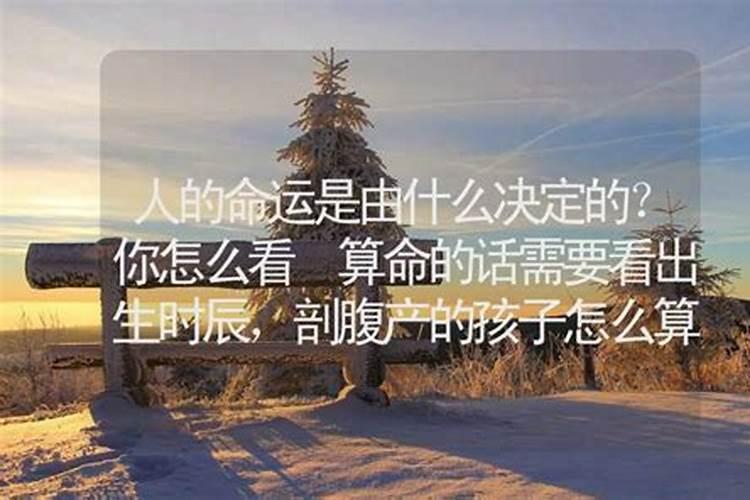 人的运气是什么决定的