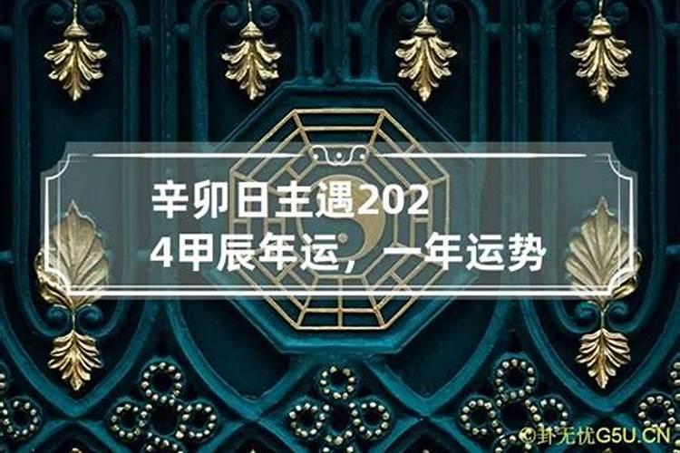 属鸡1969年生人2024年运势