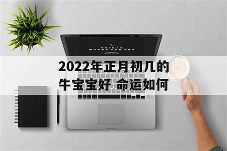 2022年正月初几的虎宝宝好