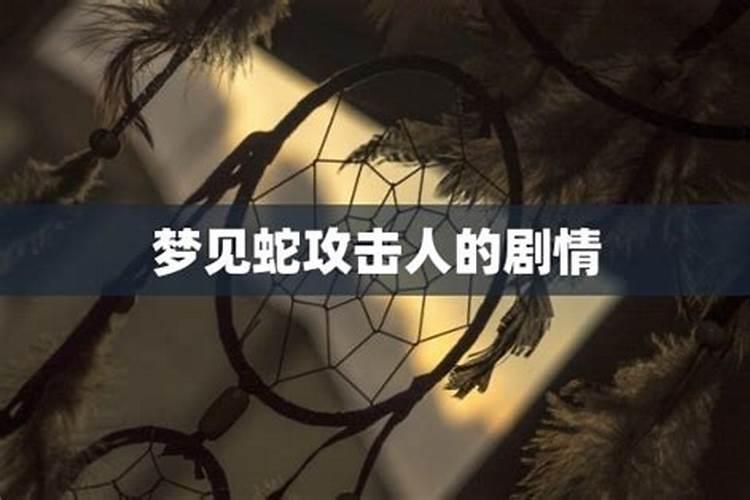 梦见蛇攻击人与蛇大作战