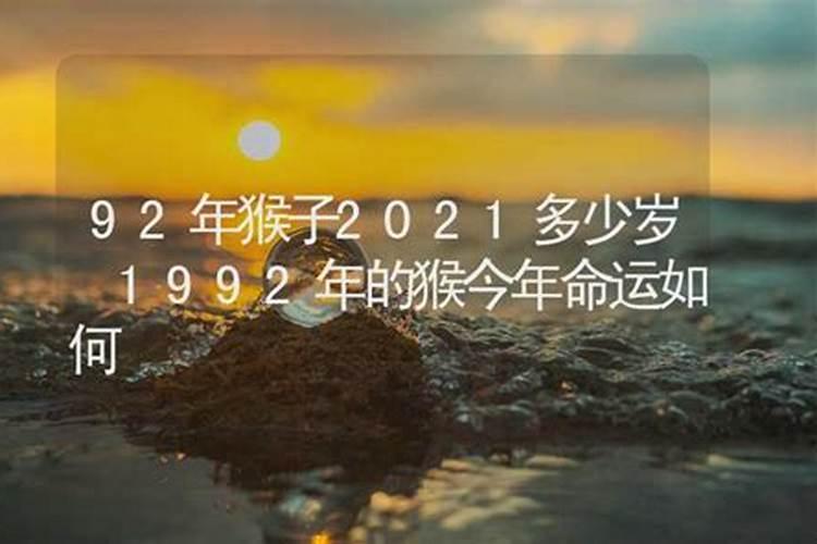 92年9月猴子的命运