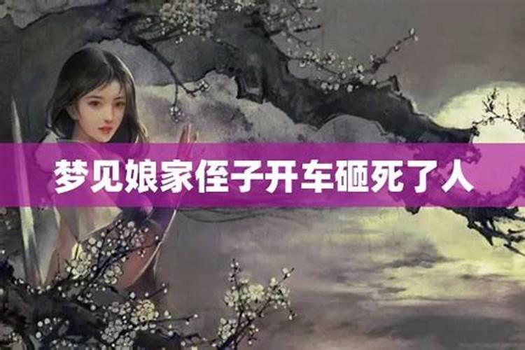 梦见侄儿出车祸不在了是什么意思呢