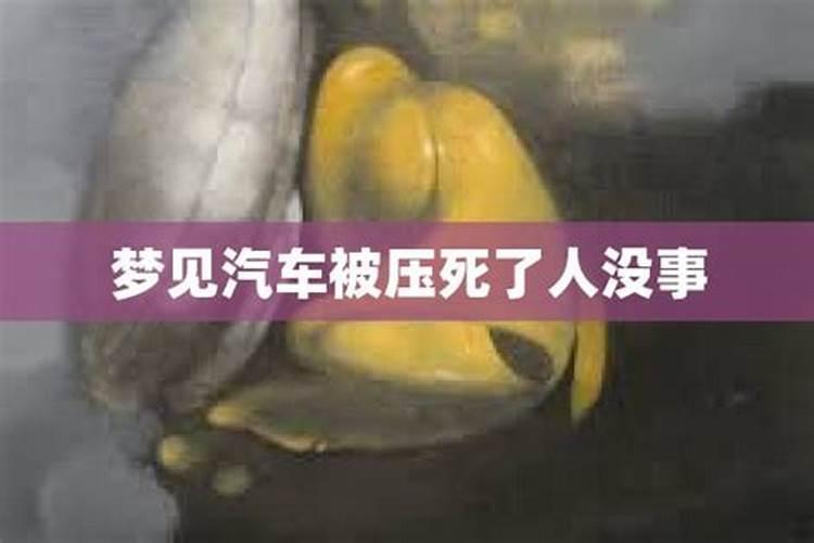 梦见侄子被车压死是什么意思