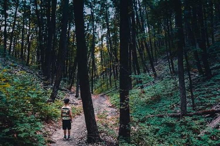 梦见迷路到处问人是什么意思啊