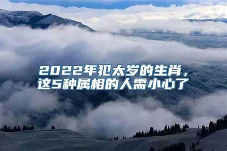 42岁属龙2023年运势