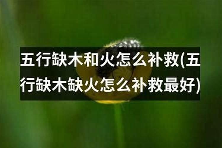 五行缺木缺火如何补救