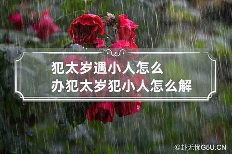 已婚女人梦见栽树是什么意思