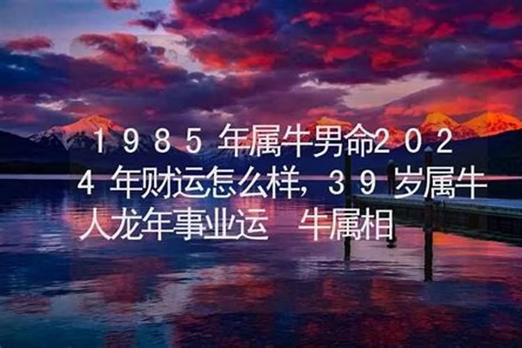 1985属牛人一生运势如何样