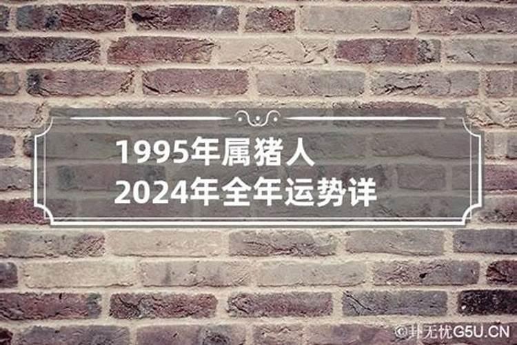 70年的狗在2024年的运势如何