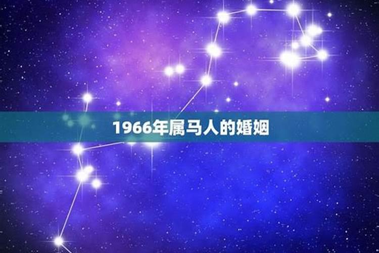 属马66年是什么星座