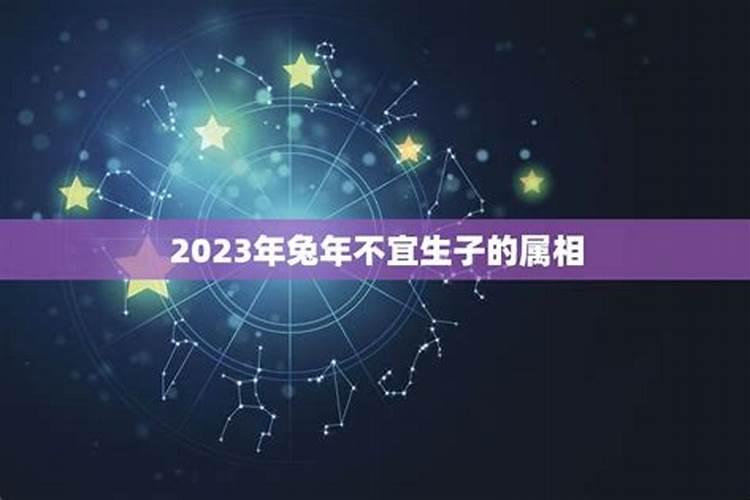 2023年不适合生宝宝的属相