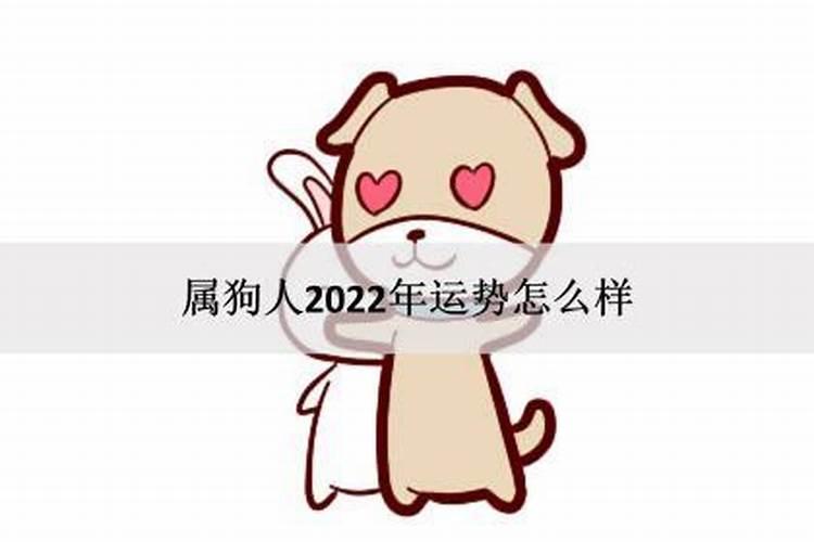 属狗的感情运势2022